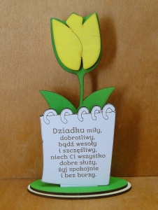 Dla Dziadka - Tulipan z dedykacją (P88W4)