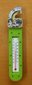 Super rybar magnes kolorowy z termometrem (P669SKW12)