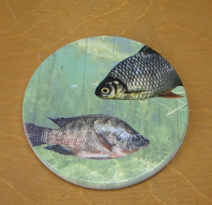 Ryby - Podkładka pod kubek nadrukiem UV (P1320W3)