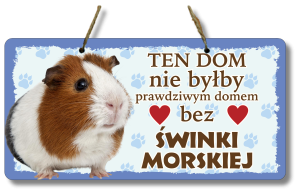 (P552W17) Świnka Morska - Zawieszka na drzwi