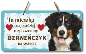 (P552W24) Berneńczyk - Zawieszka na drzwi