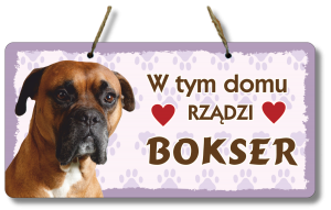 (P552W25) Bokser - Zawieszka na drzwi