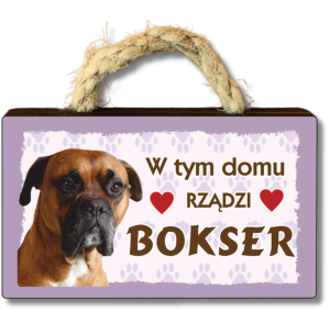 (P620W25) Bokser - magnes na lodówkę