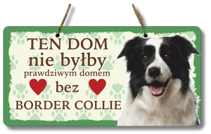 (P552W26) Border Collie - Zawieszka na drzwi