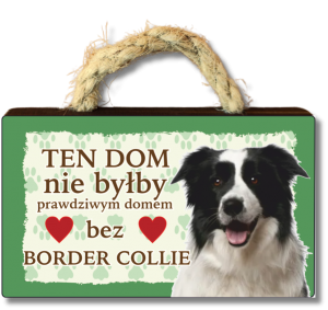 (P620W26) Border Collie - magnes na lodówkę