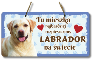 (P552W27) Labrador - Zawieszka na drzwi