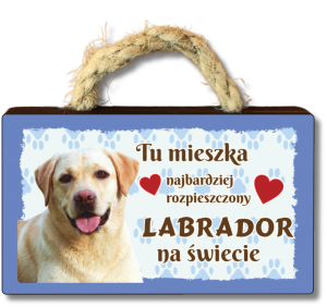 (P620W27) Labrador - magnes na lodówkę