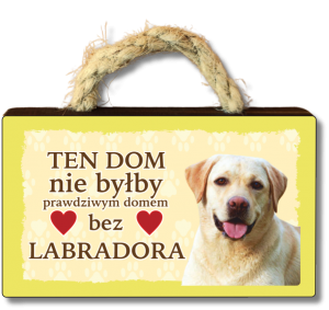 (P620W28) Labrador - magnes na lodówkę