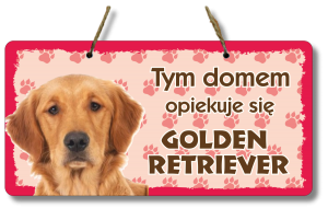 (P552W31) Golden Retriever - Zawieszka na drzwi