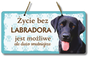 (P552W34) Labrador - Zawieszka na drzwi