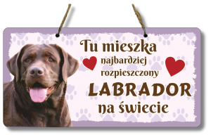 (P552W35) Labrador - Zawieszka na drzwi