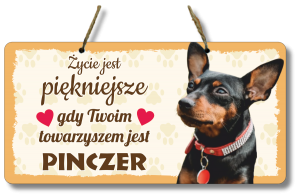 (P552W43) Pinczer - Zawieszka na drzwi