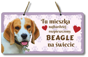 (P552W45) Beagle - Zawieszka na drzwi