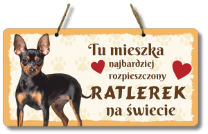 (P552W46) Ratlerek - Zawieszka na drzwi