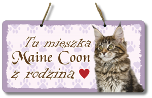 (P552W5) Maine Coon - Zawieszka na drzwi